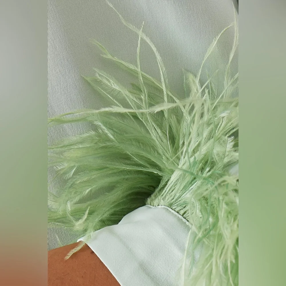 Sleeper Mint Green Party Shirt Dress Detachable Ostrich Feathers size Small NWT
